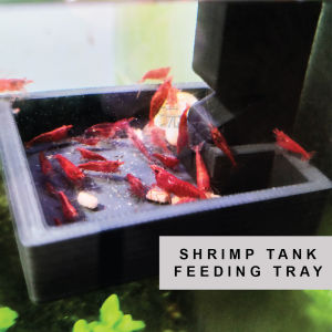 Shrimp Tank Feeding Tray - 3D Printed Aquarium Accessories That Suit Your Needs