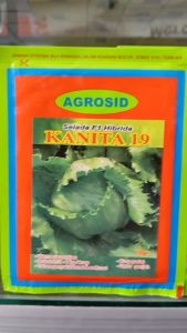 Benih selada kanita F1 19 10Gram