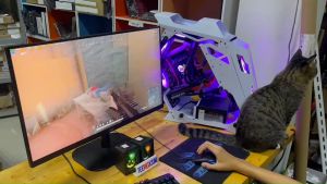 ชุดคอมพิวเตอร์ CPU18คอ36เทรด+จอ27"165HZ บอท ตัดต่อ เล่นเกมส์ INTEL xeon E5 2699V3 18C36T RAM ECCDDR4 16G-128GB VGA 4-8GB PRELOVED