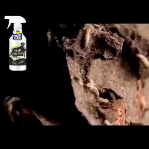 ✅ 50years without termites ✅termite killer 500ml Infect and kill in nest termites killer solution odorless anay killer spray termite killer anay pest control termite baiting system sprayer termites treatment Termite Ant Killer Powder Termite Killing Powde