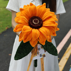 QINGPIN | Exam Success DIY Sunflower Kit 1m