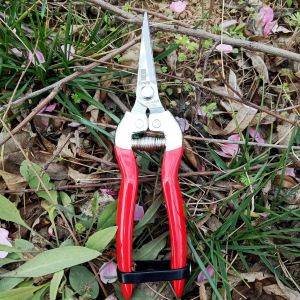 Stainless Steel Pruning Shears 908
