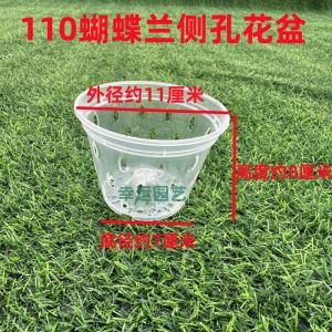 Butterfly Orchid Special Flower Pot Transparent Plastic Hard Planting Cup Oncidium Dendrobe Root-Controlling Pot Hanging Hanging Flower Pot Cross-Border
