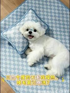 New Pet | Đệm Ngủ Lạnh Cho Thú Cưng