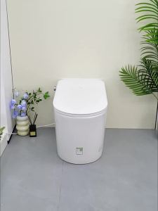 SSWW | Foam Shield Fully Automatic One Piece Smart Toilet Foot Sense