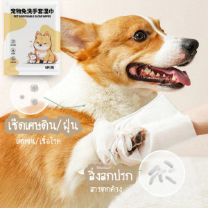 ถุงมืออาบน้ำแมวแบบแห้งถุงมือทำความสะอาดและสปาทรีทเม้นท์สุนัขและแมว 6ชิ้น/ห่อ ถุงมือเช็ดตั ใช้งานง่าย ไม่ระคายเคืองผิว ช่วยAnti-Bacterial ดับกลิ่น ทำความสะอาด สุนัข แมว