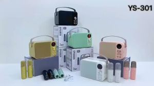 Kalaoke speaker with mic and Family Party KTV speaker with 3D stereo and colorful LED dance lights YS301