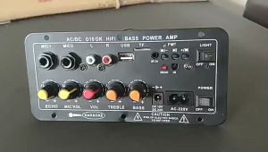 AC 220V 12V 24V Digital Bluetooth Stereo Amplifier Board Subwoofer Amplifiers for 8-12 Inch Speaker