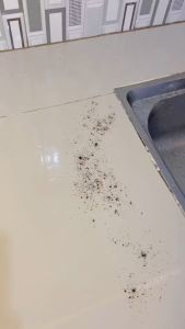 ZOLELE DM01 Mini Handheld Mop Portable Cleaning Mop Hand-free Flat Mop Floor Mop With Squeezer