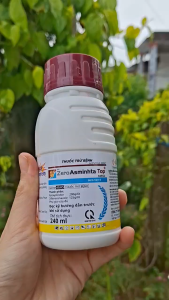 [TRUNG THIEN THINH] Trừ lem lép hạt thán thư rỉ sắt đốm lá ZEROASMINHTA TOP 325SC ( Asmilka Top)