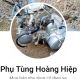 Phụ tùng hoàng hiệp 1630897426