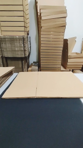 Height 19cm 28cm Express Carton Box Kotak Transport Box Aircraft Corrugated Cardboard Paper Packing Box