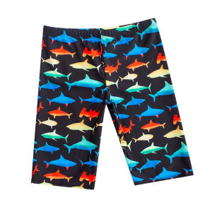 High Elasticity Childrens Swimming Trunks Boys Five-Point Thermal Quick-Dry New 2024 School Boys Swimming Shorts