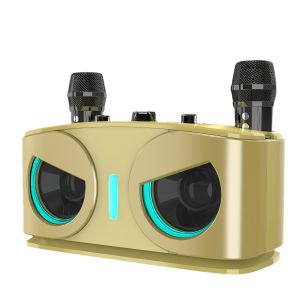 20W Powerful Wireless Bluetooth Speaker RGB Lights Effect Surround Sound Bass with 2 Mic Portable Subwoofer Outdoor Home Karaoke