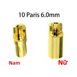Bộ 10/50/100 Cặp Đầu Nối Amass 5.5mm 6mm 8mm Đực Cái Đầu Nối Hình Chuối Cho Pin Lipo ESC Động Cơ Phụ Kiện Đồ Chơi Điều Khiển Từ Xa