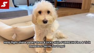 FURRESH Flea & Tick Repellent Spray 250ml | Natural Essential Oils Formula + Long-Last Protection Against Fleas Ticks & Mosquitoes for Dogs