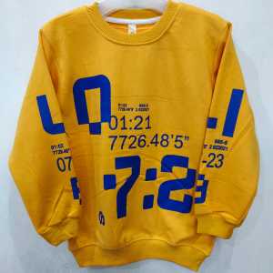 Sweater Anak Laki-Laki Impor