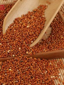 Lõi Gối Hạt Lúa Mình Tàu Cho Bé Mới Sinh Ra Lõi Gối Hình Quả Trứng Hạt Lúa Nguyên Hạt Nourishing Bird Food Red Mình Tàu