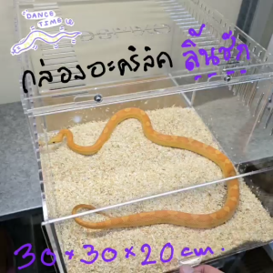 Exotic Pet Acrylic Drawer Box 30×30×20cm 🐍 กล่องอะคริลิคใส รุ่นลิ้นชัก พร้อมรูระบาย 3mm สำหรับงู ตุ๊กแก DSMXO