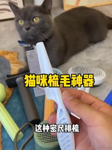 狗狗梳子猫梳毛专用猫咪排梳狗泰迪密齿面梳比熊宠物跳蚤用品大全