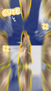 TW21844 เดรสยาวสายเดี่ยวคอวี ประดับลูกปัด เปิดหลัง ..