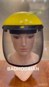 Bộ mặt nạ phát cỏ kèm kính che mặt dạng lưới B1 + FC29M