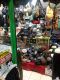 muadz shop
