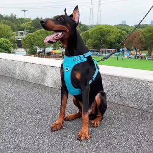 HamshMoc Durable Dog Harness Breathable Adjustable Pet Chest Strap  Reflective No Pull For Dogs Safety Walking Outdoor