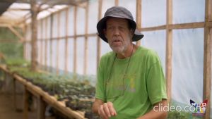 Grand Humus Plus - Organic NPK and Foliar Fertilizer for Plants Vegetables Corn and Rice - ICE