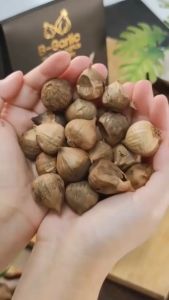 ซื้อ3แถม1 โปรแถมสุดคุ้ม 100gx3กล่อง แถม 60gx1กระปุก B-Garlic BGarlic B Black Garlic บี-การ์ลิค บีการ์ลิค บีกาลิค บีกาลิก บีการ์ลิก กระเทียมดำ