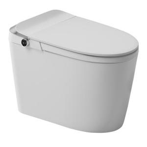 TEM | Light Intelligent Toilet Home Automatic Zero-Pressure Rimless
