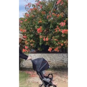 Xe đẩy gấp gọn cho bé Chicco Goody Plus City Map Re_lux xe nôi tự động 1 chạm - Monnie Kids