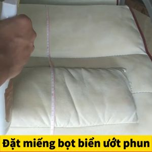 Dung Dịch Vệ Sinh Nội Thất Ô Tô 500ml vệ sinh ghế da ô tô