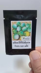 200 เมล็ด มะเขือขื่น เมล็ดมะเขือขื่น เมล็ดพันธุ์มะเขือขื่น มะเขือเหลือง มะเขือขันขำ มะเขือคางกบ มะเขือคำ มะเขือแจ้ มะเขือเสวย มะเขือ