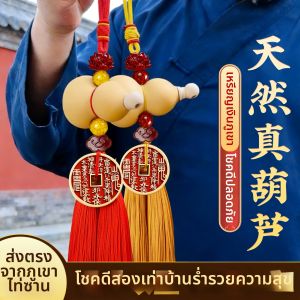 FENGSHUIGE | Evil Protection Amulet Door Hanging Charm