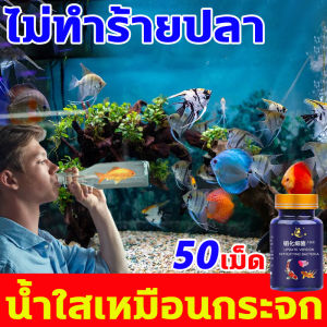 หลังใช้ น้ำใสเหมือนกระจก จุลินทรีย์น้ำใสบ่อปลา 50เม็ด 1กล่อง จุลินทรีบ่อปลา ละลายอุจจาระ ดับกลิ่นเหม็น น้ำยาปรับสภาพน้ำ ปลอดภัยไม่ทำร้ายปลา จุลินทรีตู้ปลา 1วิน้ำใสขึ้น แร่ธาตุบ่อปลา ฆ่าและต้านเชื้อแบคทีเรีย ศัตรูตัวฉกาจของราน้ำ จุลินทรีย์ปรับสภาพน้ำใส