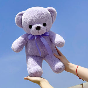 GUAIBUDIAN | Colorful Plush Teddy Bear