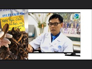 {Hàng siêu phẩm} 1 Ký Nấm Ngọc Cẩu rừng- giúp thân thể tráng kiện sung mãn tinh thân minh mẫn da hồng hào