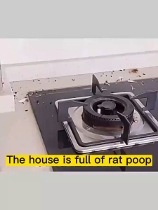 No mice within 5000 meters!Rat repellant rat poison killer Strong non-toxic rodent Rat Repellent Gel Scented imported plant formula powerful rat repellent cream repellent Deratization Cream Easy To Use No Chemicals for car engine/ for home