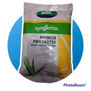 Benih jagung fantastis Nk8103 1 kg