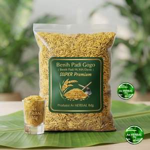 Jual benih padi darat gogo huma darat gogo 1 kg-az