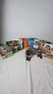 PetMarra Adult Cat Dry Food Chicken & Liver 7kg