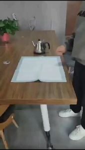 Pad pet diaper wee wee Pet Puppy Pet Training pad training Mat Pee Pad Wee Pad Urine Pat for Cat / Dog 5 layers Pet diaper 宠物尿片