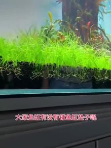 Fish Tank Mat Aquarium Anti-Slip Pad Shock-Absorbing Mute Thickened Black Mat Turtle Tank Landscaping Environmental Insulation