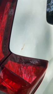 Penghilang  Noda Aspal  dan Getah Di Body Mobil Motor  250ml