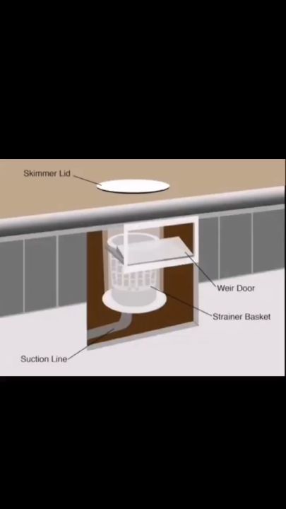 swimming pool Skimmer Complete Wide Mouth Wall Skimmer (Gunite/Concrete)