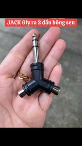 COMBO 2 Đầu chuyển JACK 6.5 ly ra 2 bông sen cái RCA