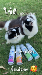 AiPets(เหลือง)120MLกลิ่นขนมไทยมะพร้าวอ่อนโฟมอาบน้ำแห้งหมาแมวสูตรอ่อนโยน หอม ขนสวย สะอาด ดับกลิ่น คุณภาพน้ำแร่คุณภาพ ขนาด120ML