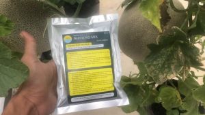 Nutrisi AB MIX Sayuran Buah dan Buah Pekatan 2 Liter (Untuk 400 Liter Larutan Nutrisi)