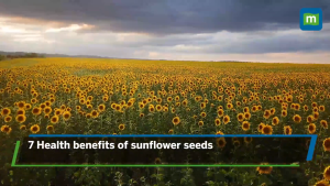 Raw Sunflower Seeds Premium QUAILTY 100 % 440 G